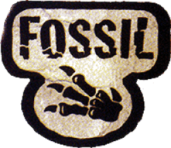 Fossil