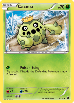 Cacnea