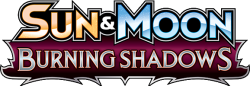 Burning Shadows