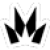 Crown Zenith