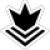 Phantom Forces